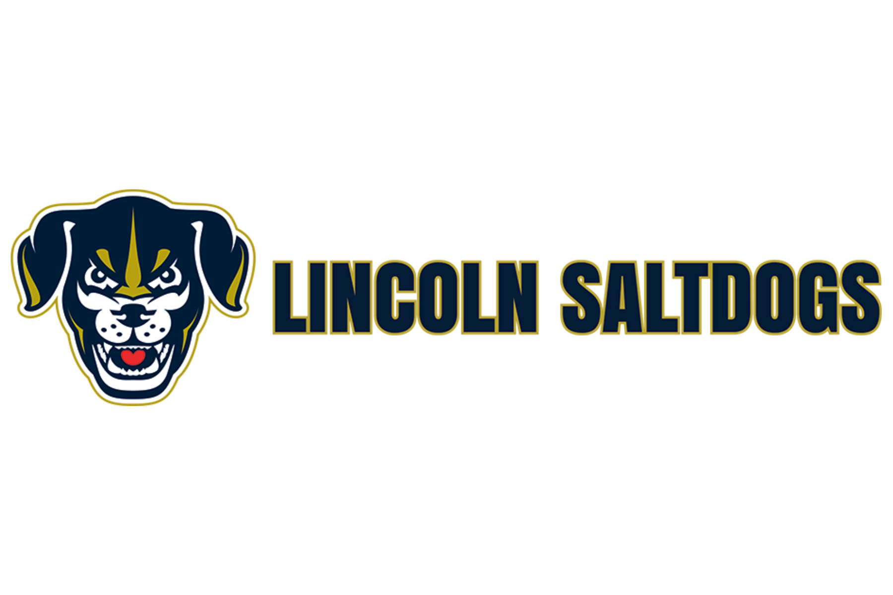Lincoln Saltdogs logo